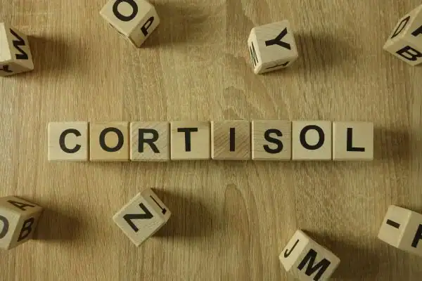 The Hidden Connection: How Stress Shapes Your Fitness and Body Composition 2 Image saying "Cortisol" and how stress Lowestoft impacts your wellbeing and bodies shape